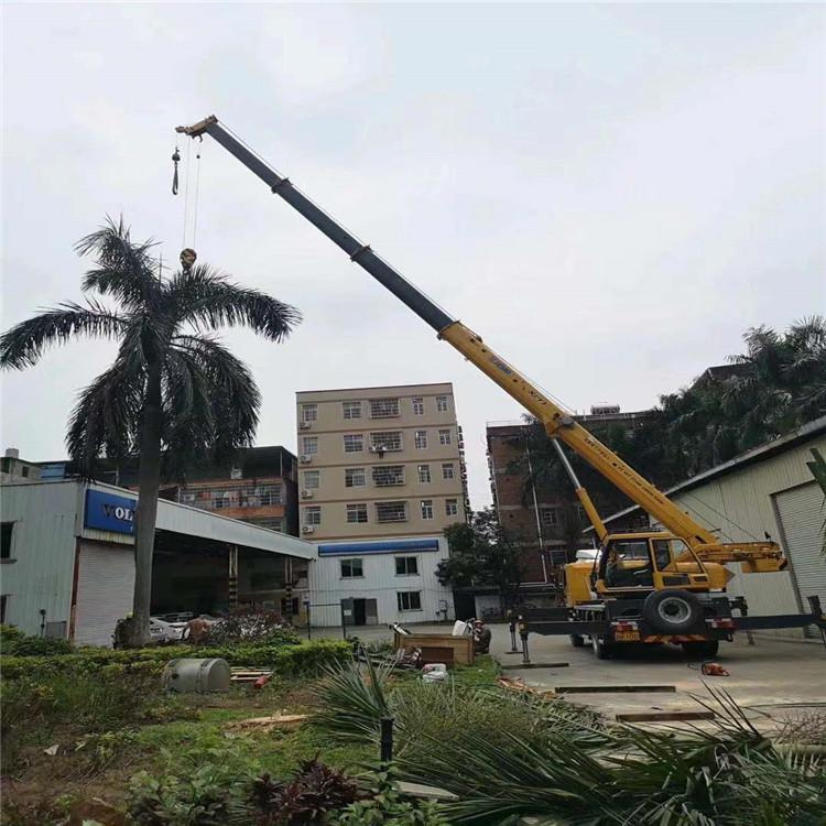 新华汽车吊出租多少钱？全面解析与市场行情